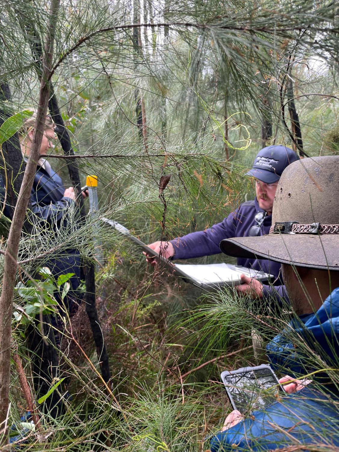 Three scientists standing in thick bush, writing notes