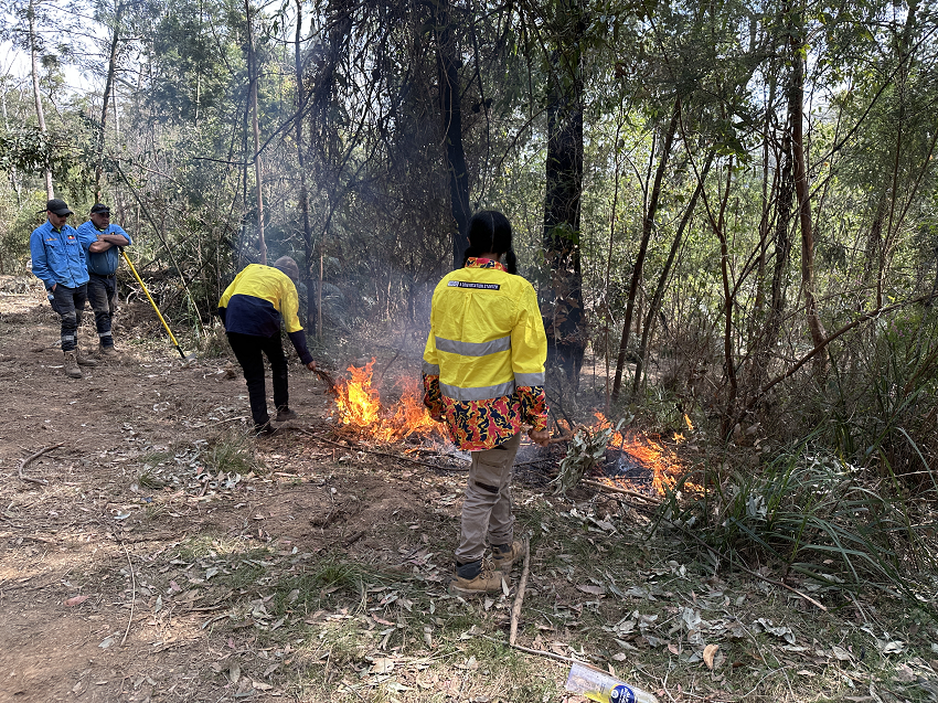 Two women in high vi applying fire to bush whilst two men look on