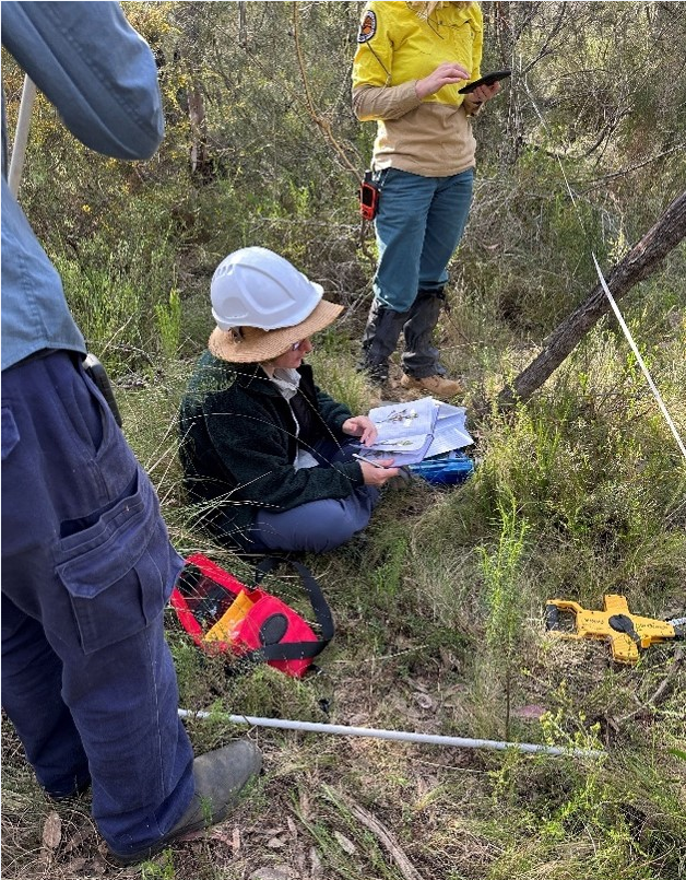 person sitting in bush looking at book