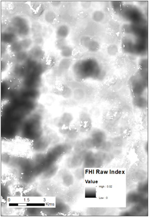 fig b fhi raw