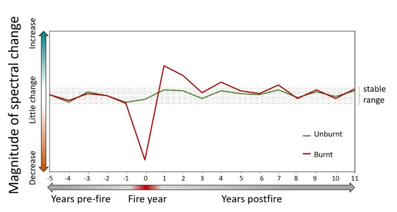 recovery diagram