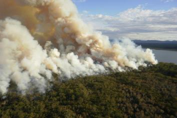 smoke over forest