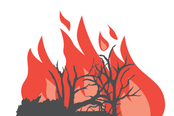 flames icon