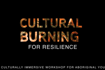 Cultural Burning for Resilience