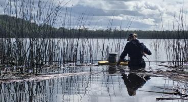 Water quality sampling in Cudgen Creek 