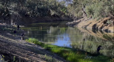 Darling Baaka River sampling