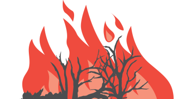 flames icon
