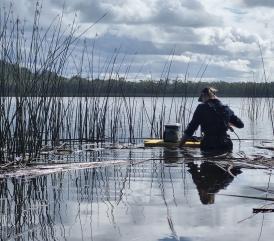 Water quality sampling in Cudgen Creek 